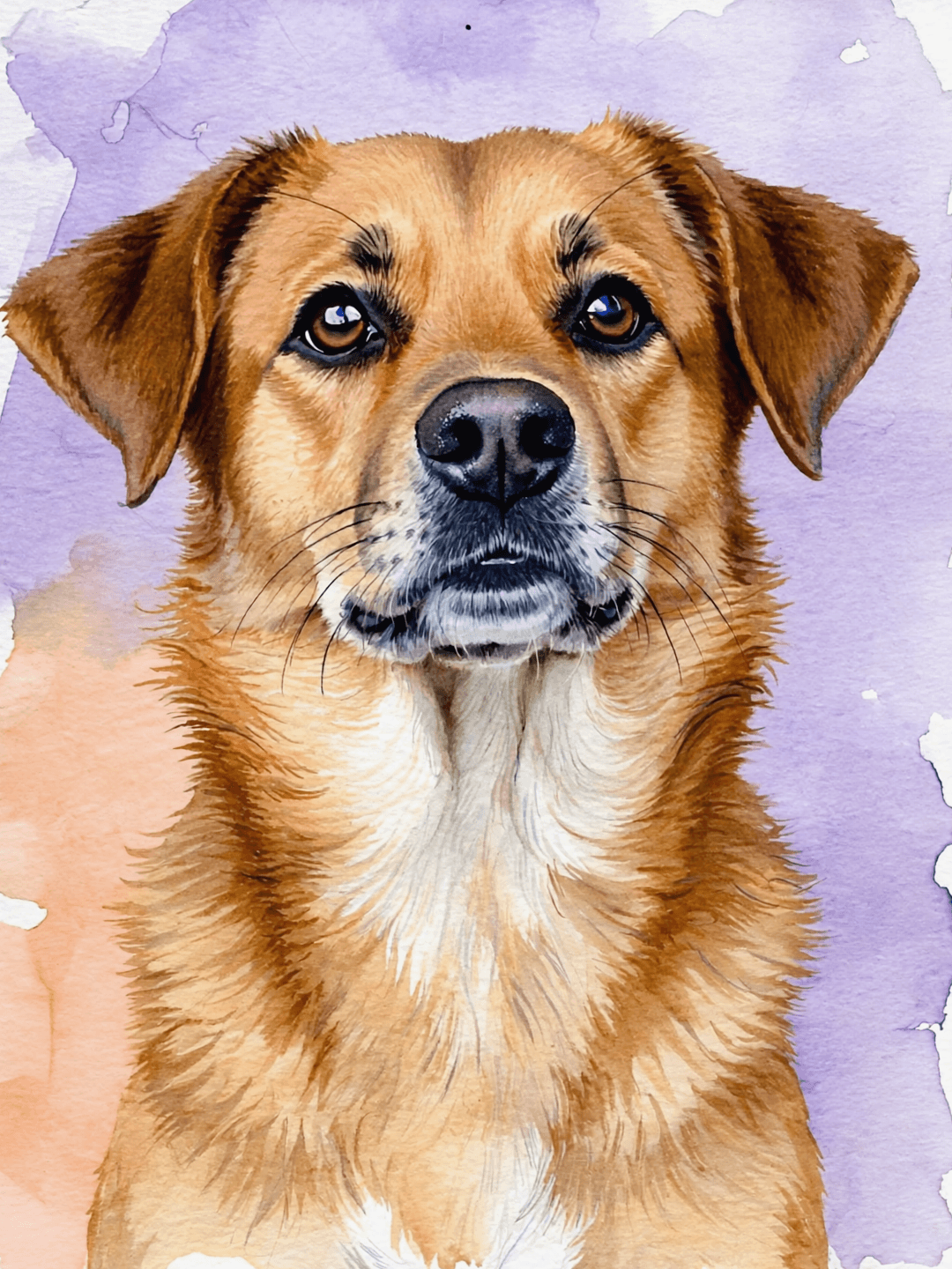 Retrato acuarela de perro mestizo